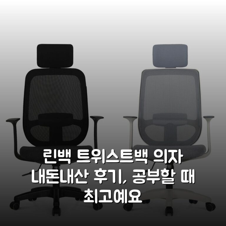 린백 트위스트백 의자 내돈내산 후기, 공부할 때 최고예요