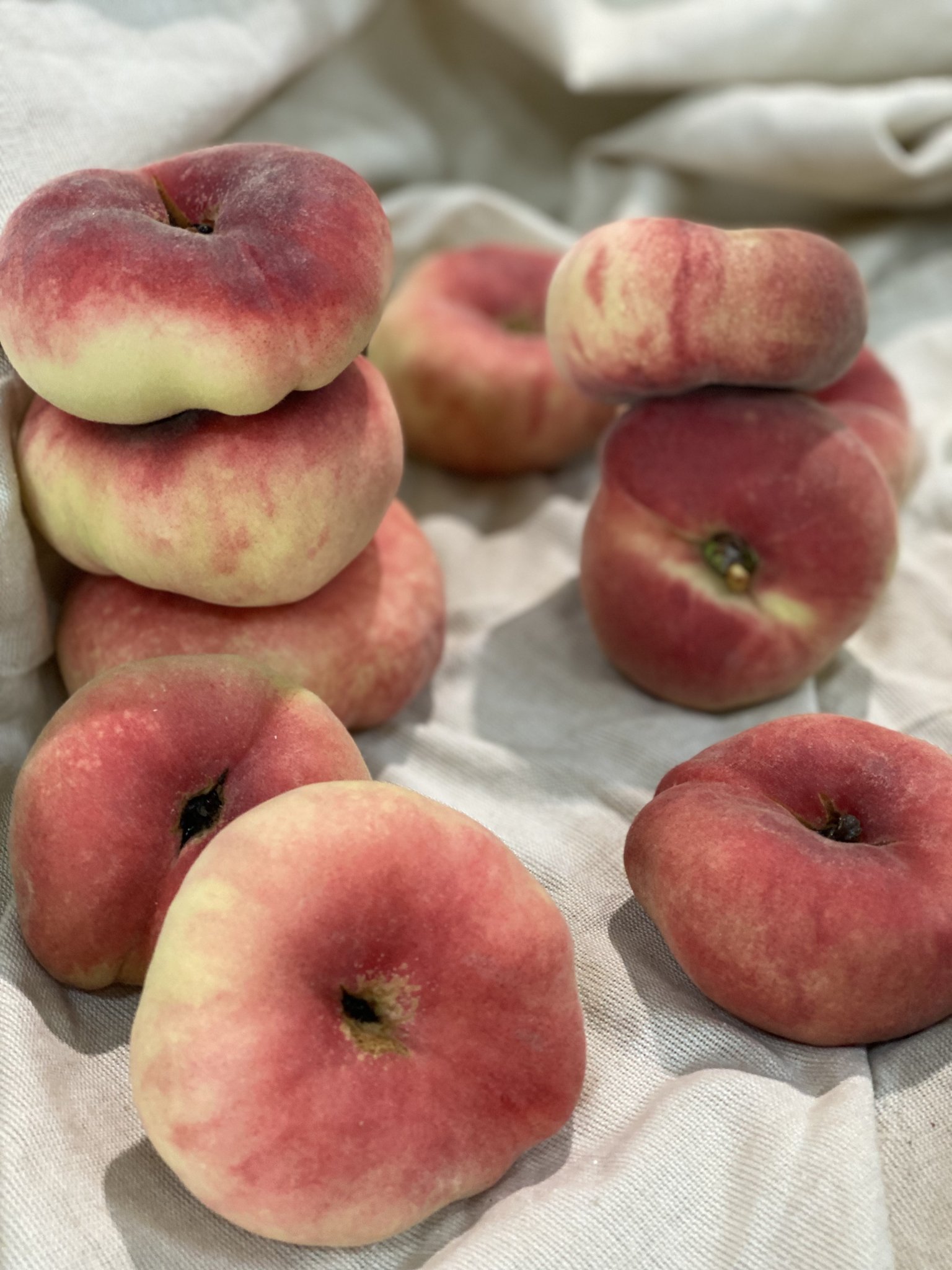 복숭아 신비복숭아 납작복숭아 하우스 대극천 거반도 빅숭아 천도 신선 백도 말랑이 딱딱이 상세 이미지 1