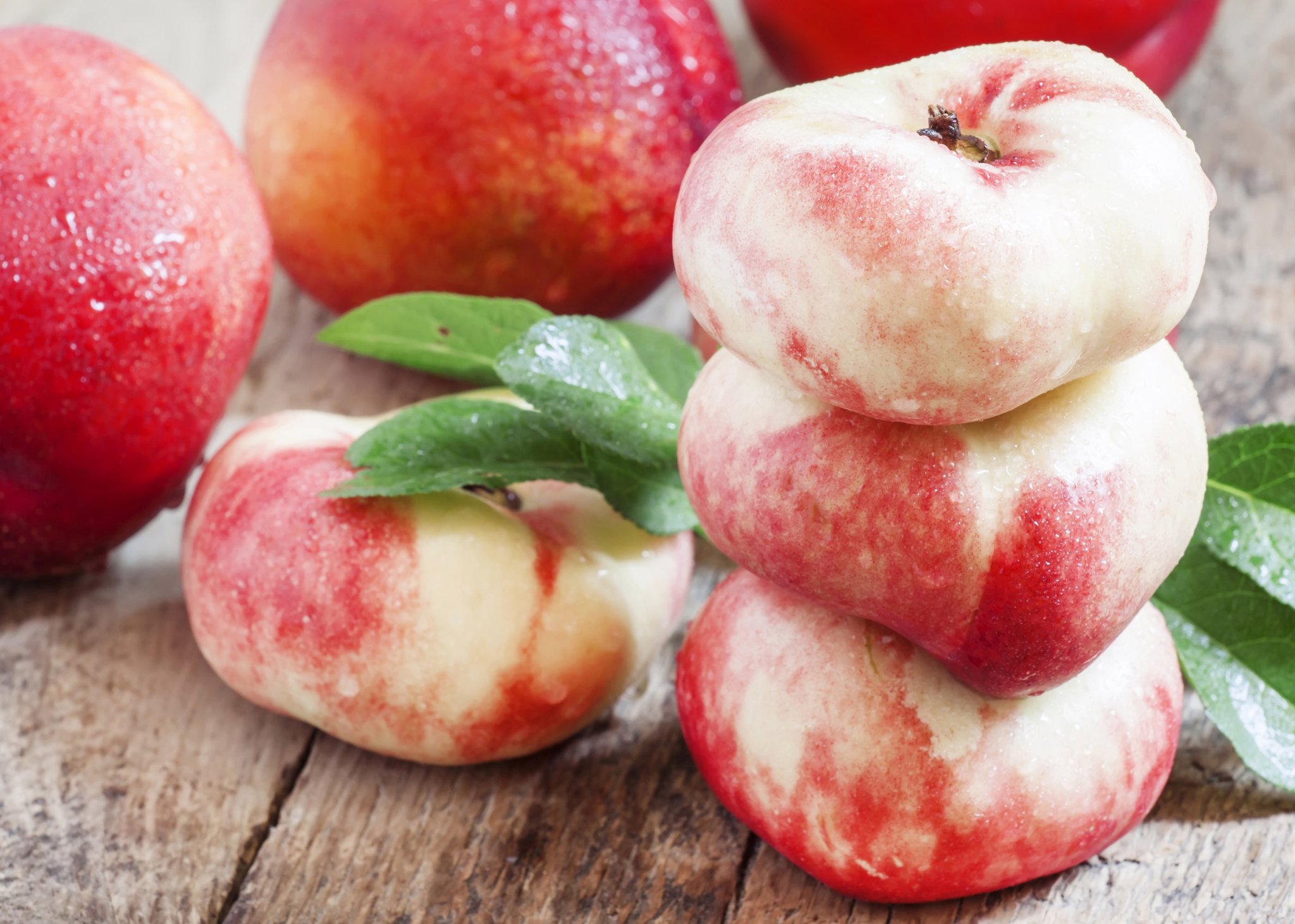 복숭아 신비복숭아 납작복숭아 하우스 대극천 거반도 빅숭아 천도 신선 백도 말랑이 딱딱이 상세 이미지 1