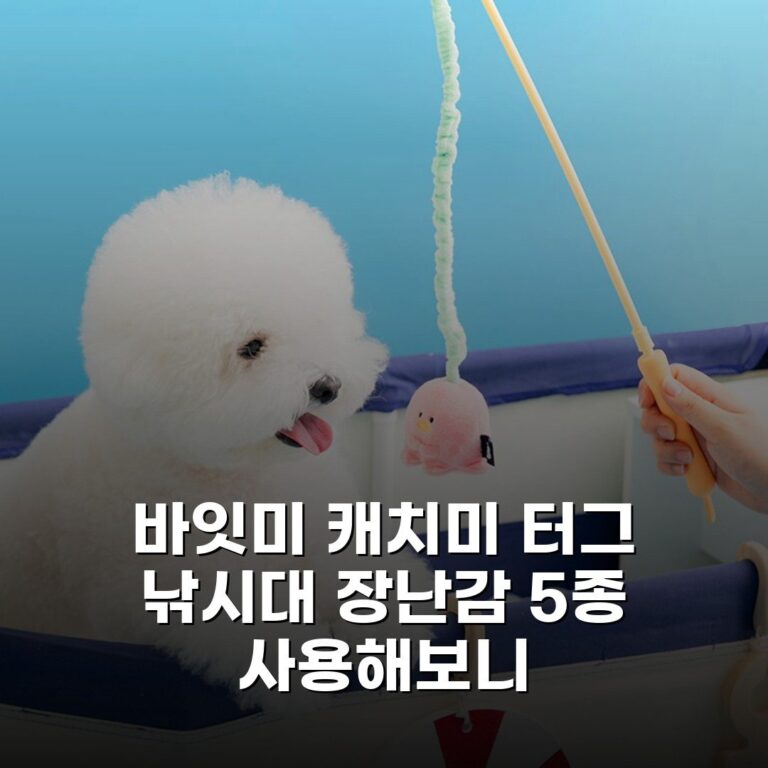 바잇미 캐치미 터그 낚시대 장난감 5종 사용해보니