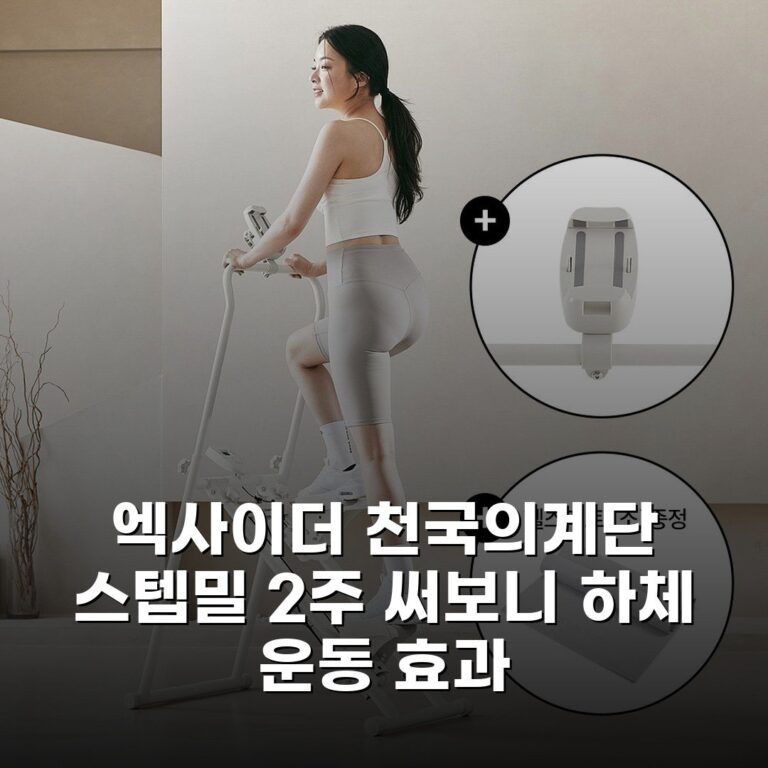 엑사이더 천국의계단 스텝밀 2주 써보니 하체 운동 효과