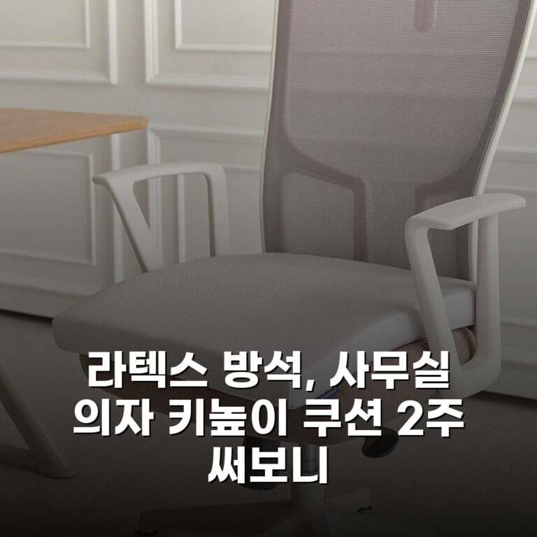 라텍스 방석, 사무실 의자 키높이 쿠션 2주 써보니