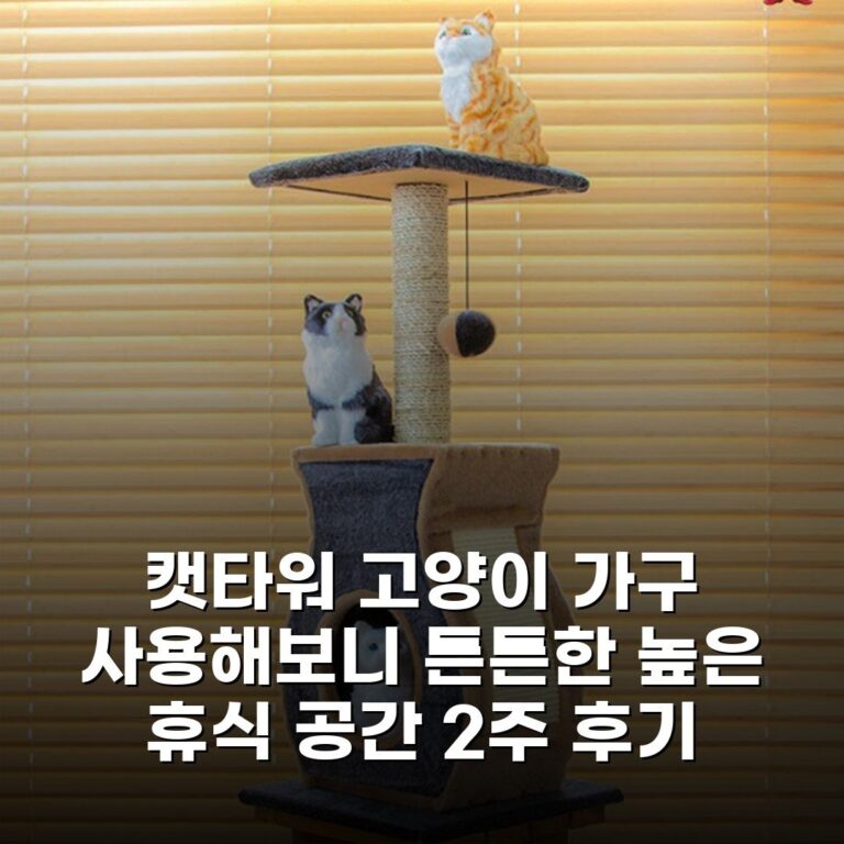 캣타워 고양이 가구 사용해보니 튼튼한 높은 휴식 공간 2주 후기